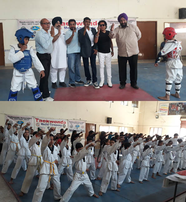 Organized the 26th District Taekwondo Championship